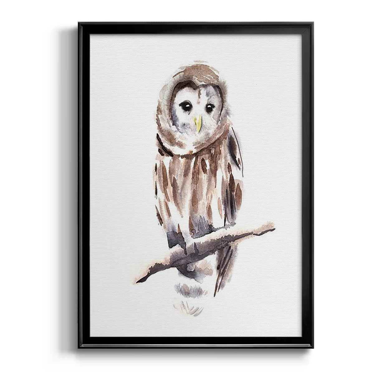 Barred Owl Impressions I - Modern Framed Canvas Print