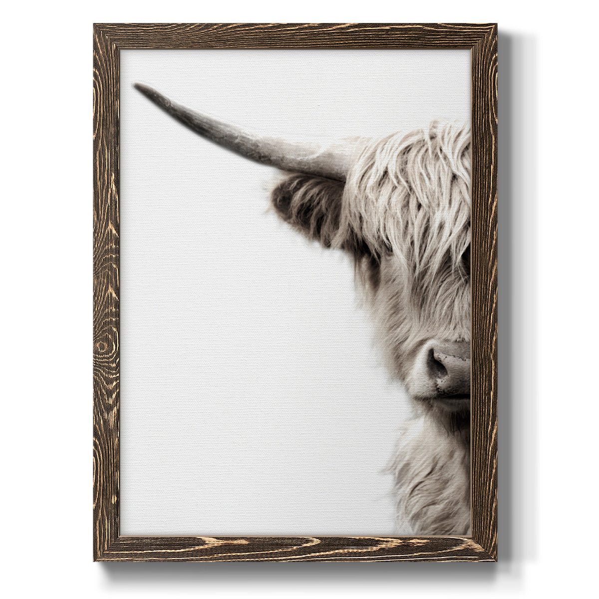 Highland Cattle - Barnwood Framed Canvas Print
