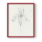 Neutral Iris Sketch I - Restickable Framed Art Print