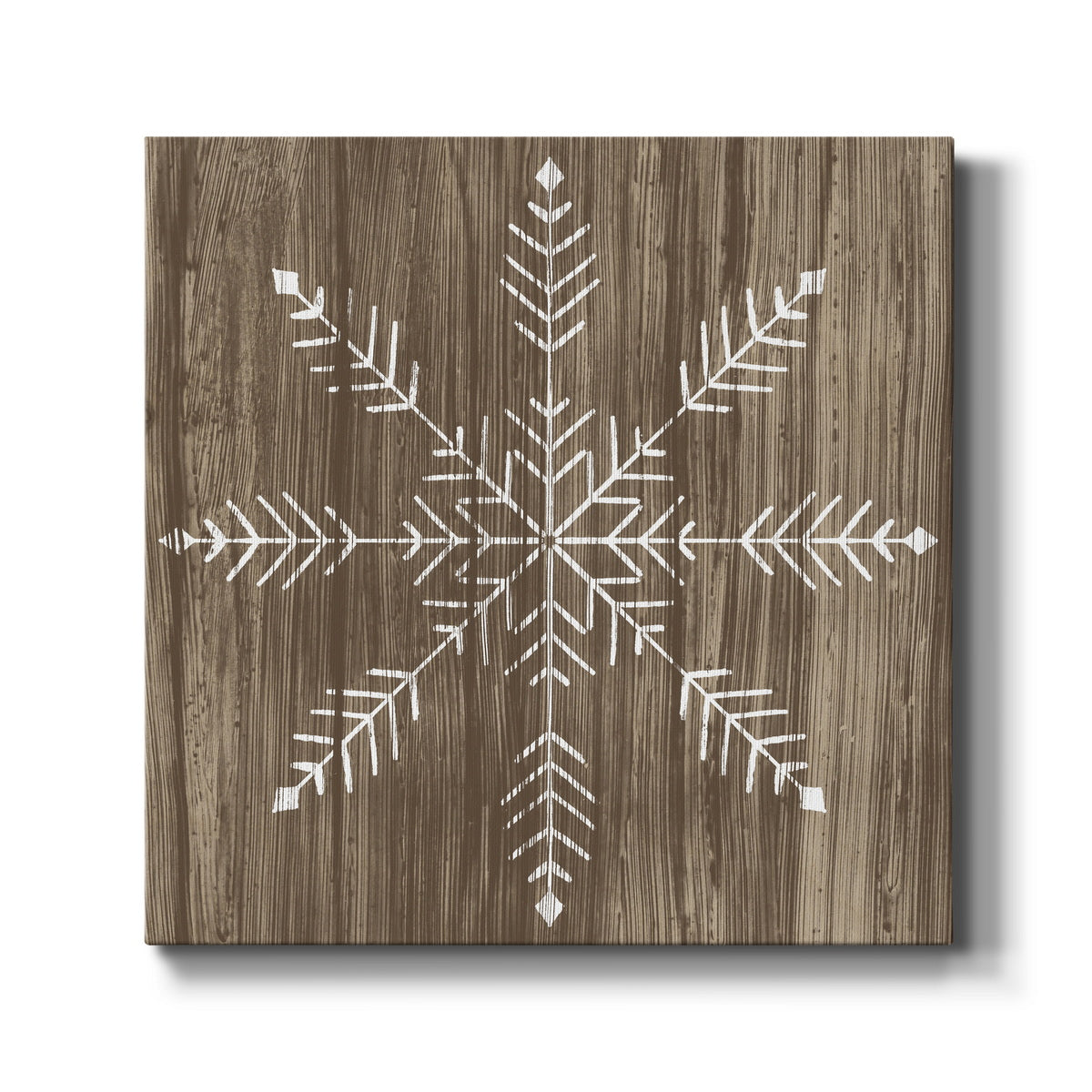 Barnwood Wonderland IV-Premium Gallery Wrapped Canvas - Ready to Hang