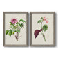 Pretty Pink Botanicals V - Premium Framed Canvas 2 Piece Set - Ready to Hang