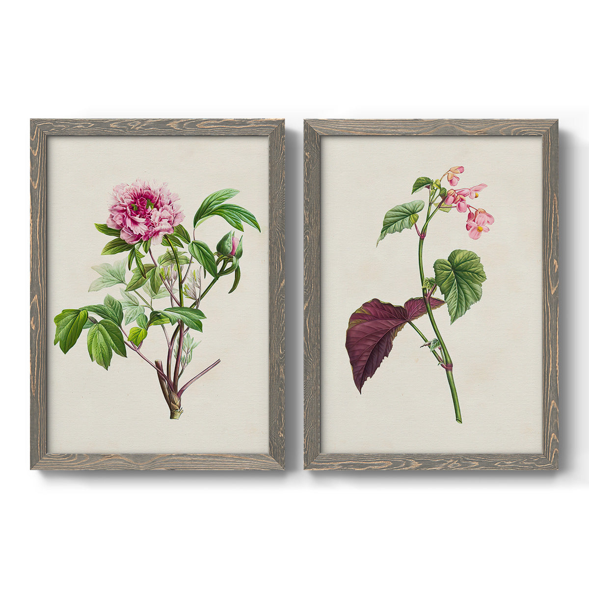 Pretty Pink Botanicals V - Premium Framed Canvas 2 Piece Set - Ready to Hang