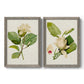 Magnolia Flowers I - Premium Framed Canvas 2 Piece Set - Ready to Hang