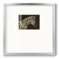 Striped Pajamas - Double Matboard Framed Print