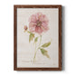 Soft Peony - Barnwood Framed Canvas Print