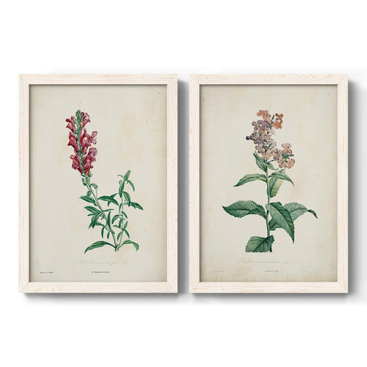 Traditional Botanical I - Barnwood Framed Canvas Set