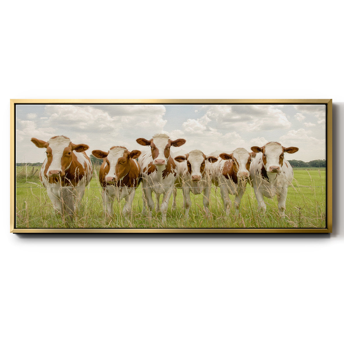 The F Side - Floater Framed Canvas Print