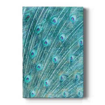 Birds - Canvas Art Print