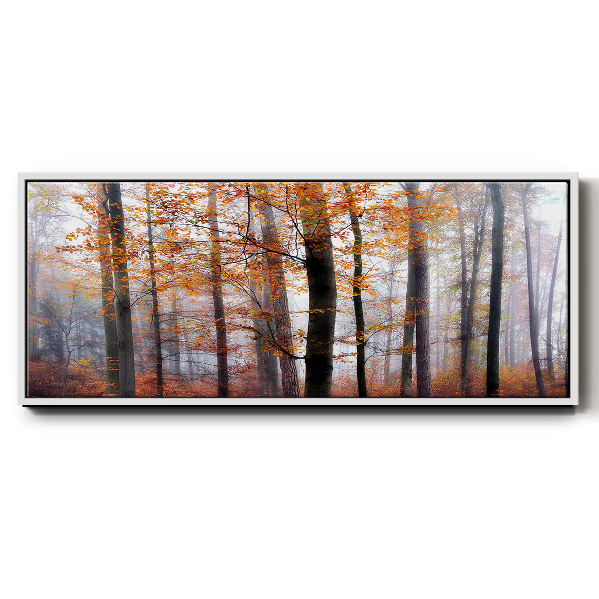 Lost in the Forest - Floater Framed Canvas Print