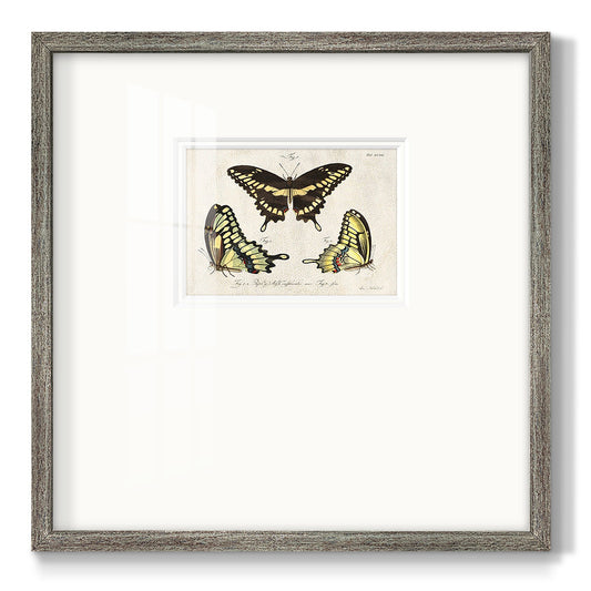 Crackled Butterflies I - Double Matboard Framed Print