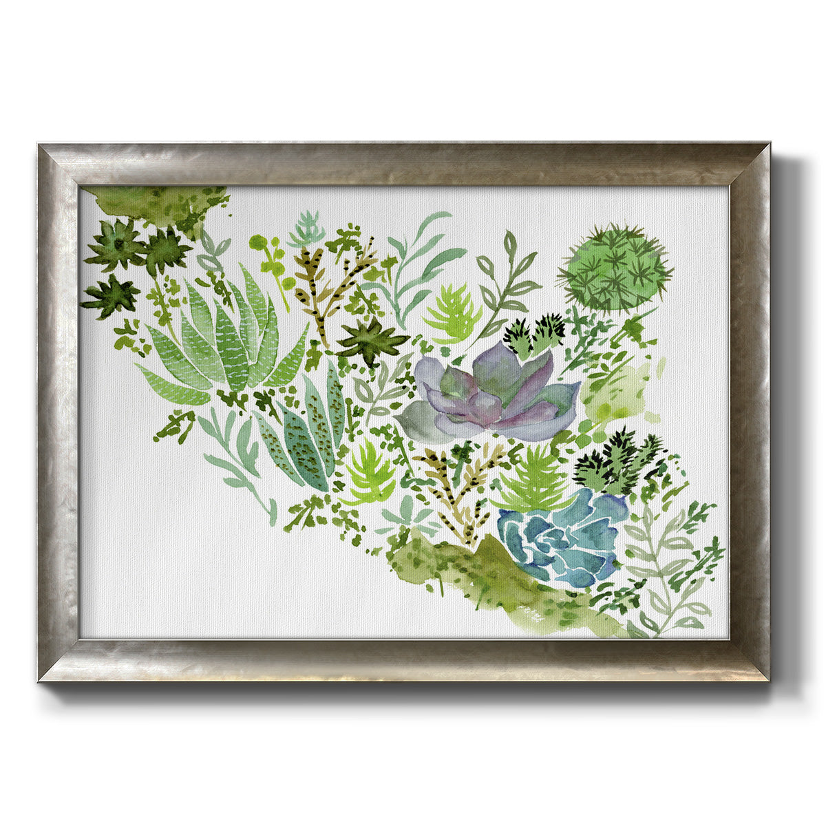 Succulent Field II - Ornate Framed Canvas Print