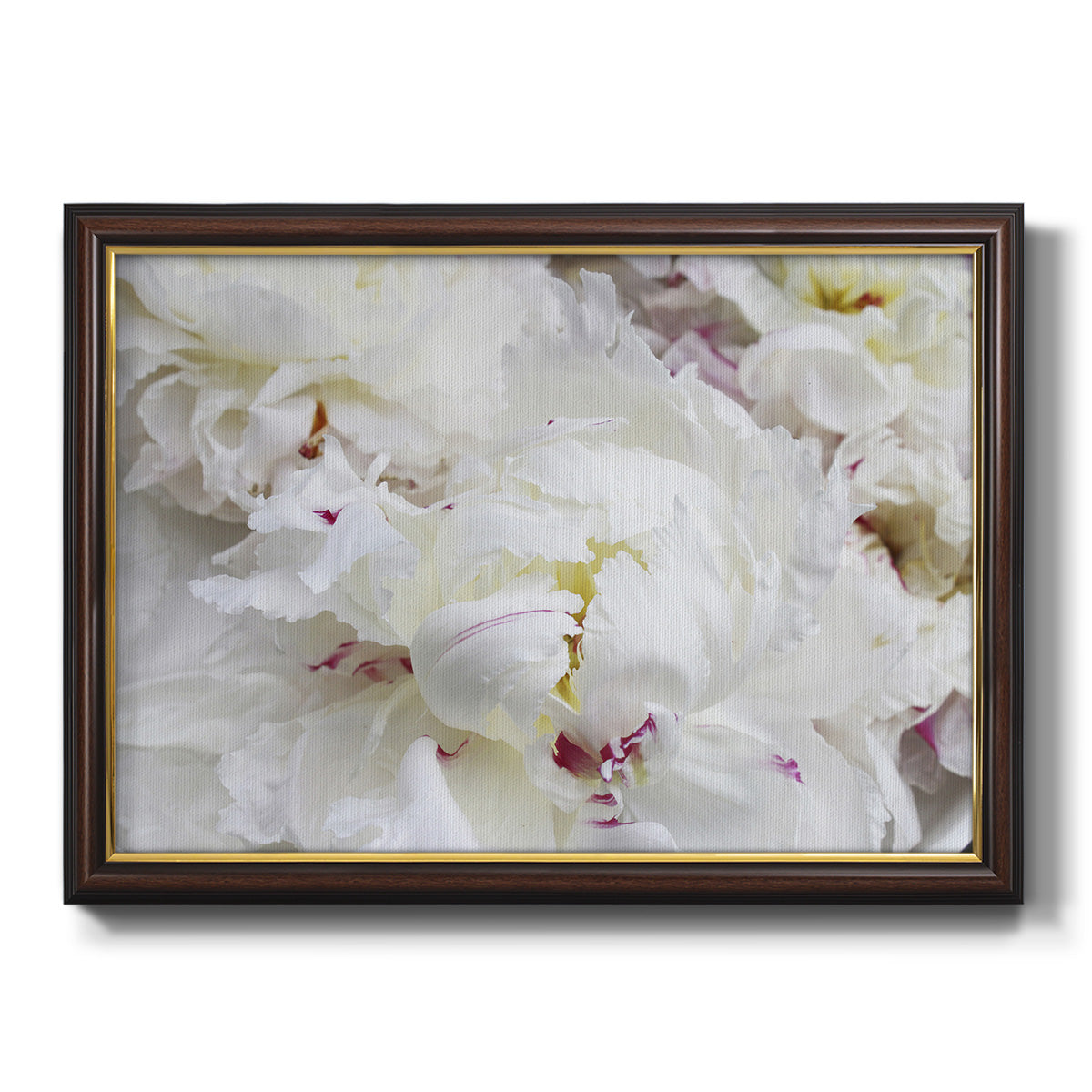 Breathless VI - Ornate Framed Canvas Print