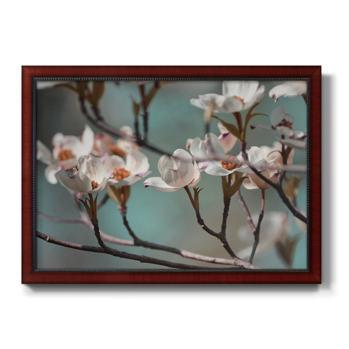 Dogwood Spring IV Premium Framed Canvas- Ready to Hang