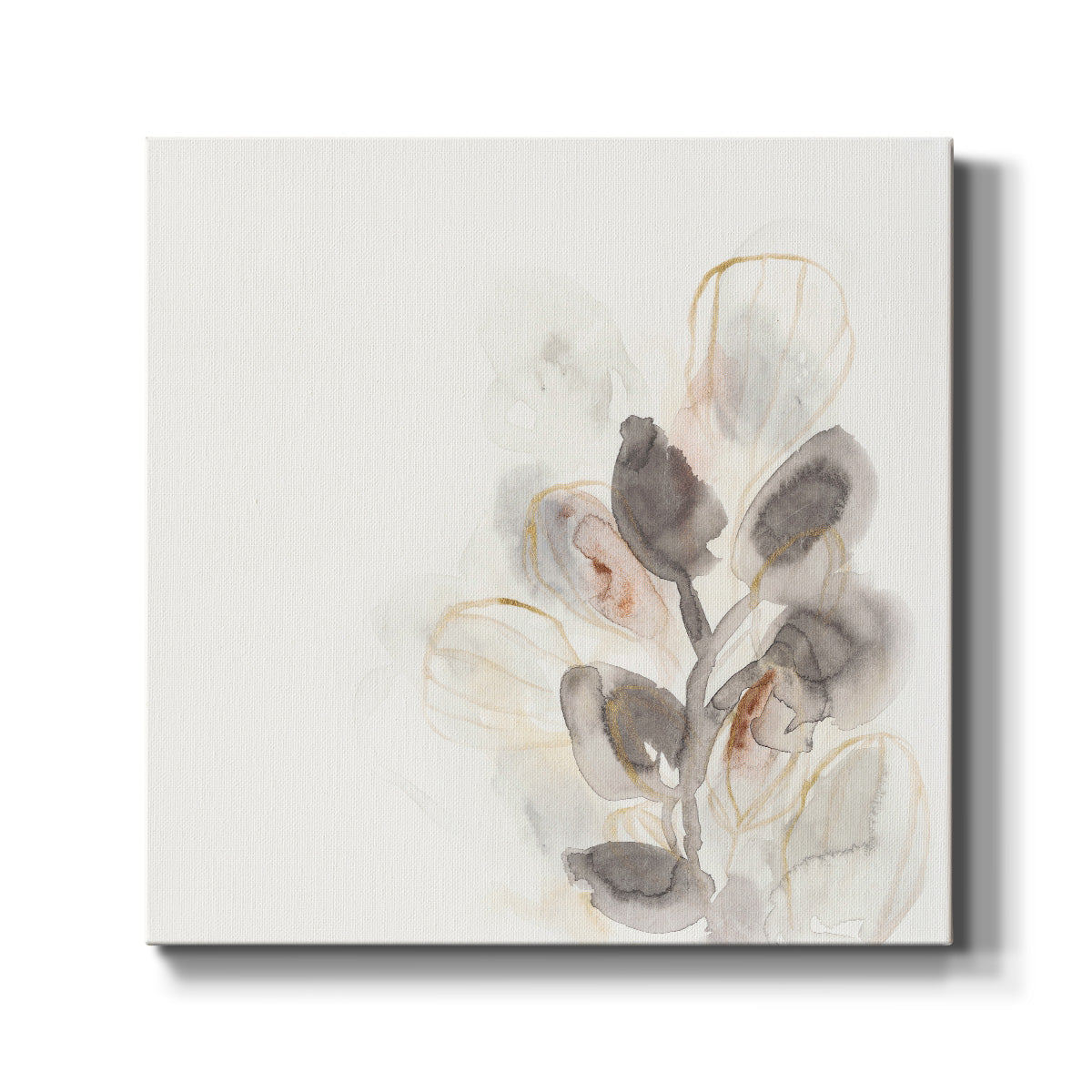 Seed Pod II-Premium Gallery Wrapped Canvas - Ready to Hang