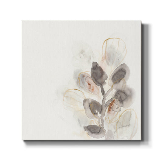 Seed Pod II - Canvas Art Print