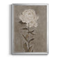 Pretty As A Peony I - Modern Framed Canvas Print