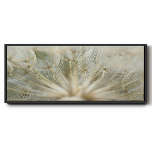 Macro Dandelion IV - Floater Framed Canvas Print