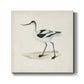 Morris Sandpipers IV - Canvas Art Print