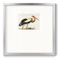 Odd Crane - Double Matboard Framed Print