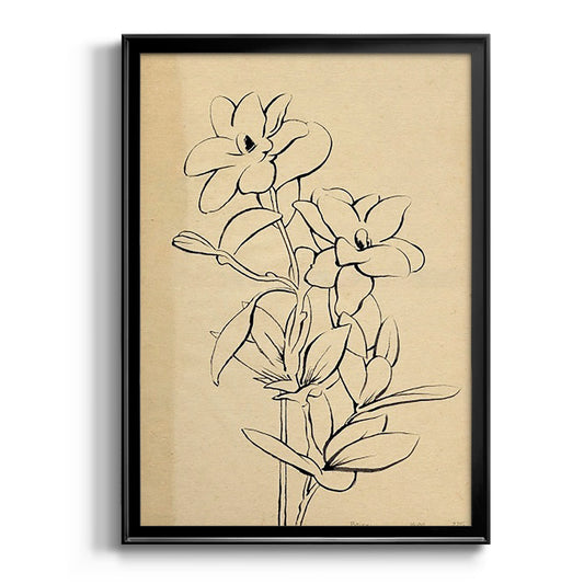 Magnolia Sketch I - Modern Framed Canvas Print