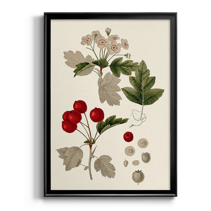 Leaves & Berries III - Modern Framed Canvas Print