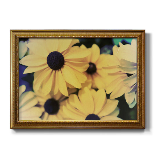 Susans I - Ornate Framed Canvas Print