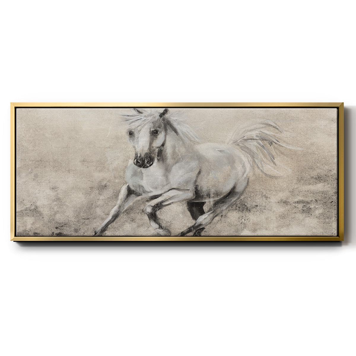 Majestic Stallion II - Floater Framed Canvas Print