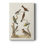 Antique Birds in Nature II Premium Gallery Wrapped Canvas - Ready to Hang