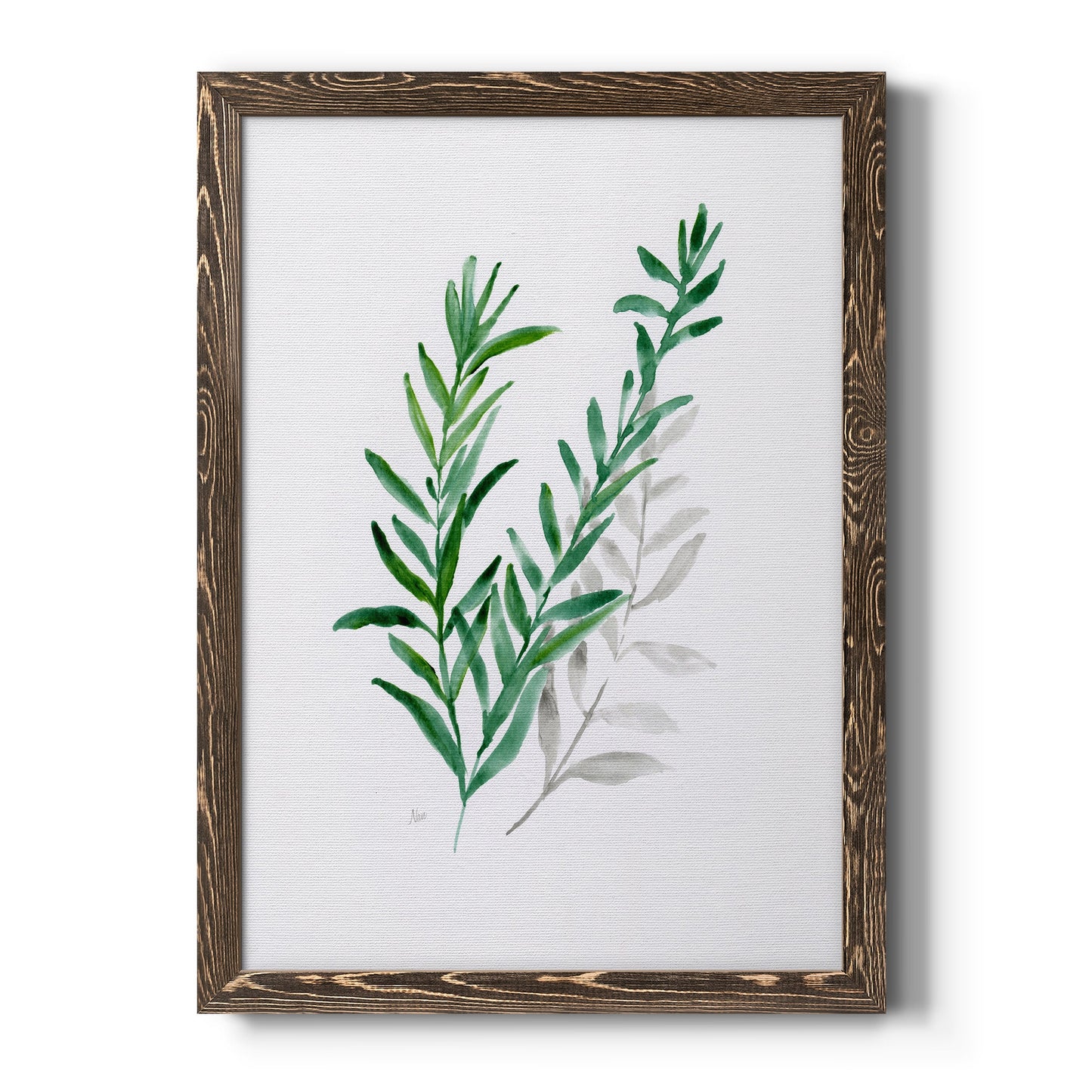 Freshly Picked II - Barnwood Framed Canvas Print