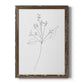 Botanical Gesture V - Barnwood Framed Canvas Print