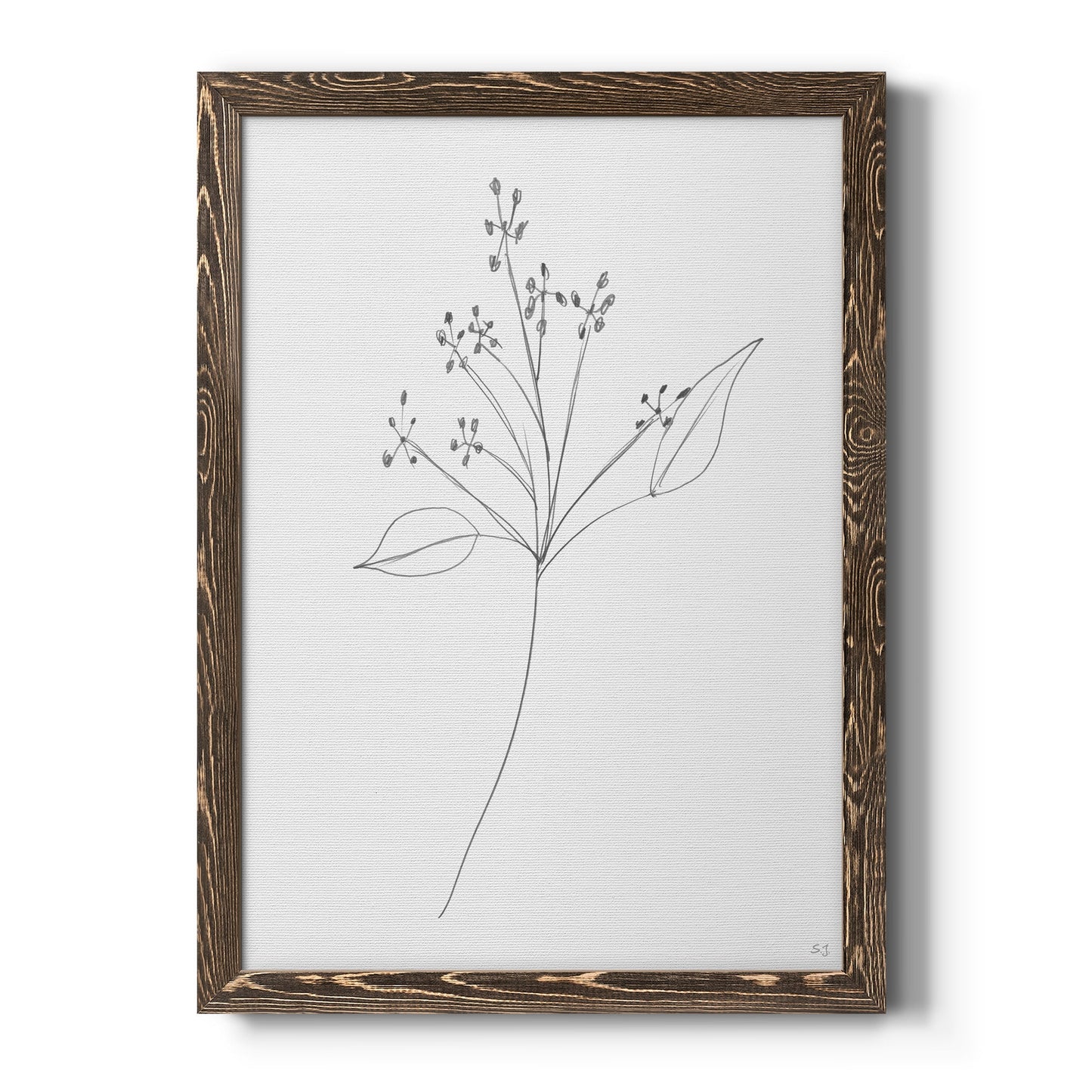 Botanical Gesture V - Barnwood Framed Canvas Print