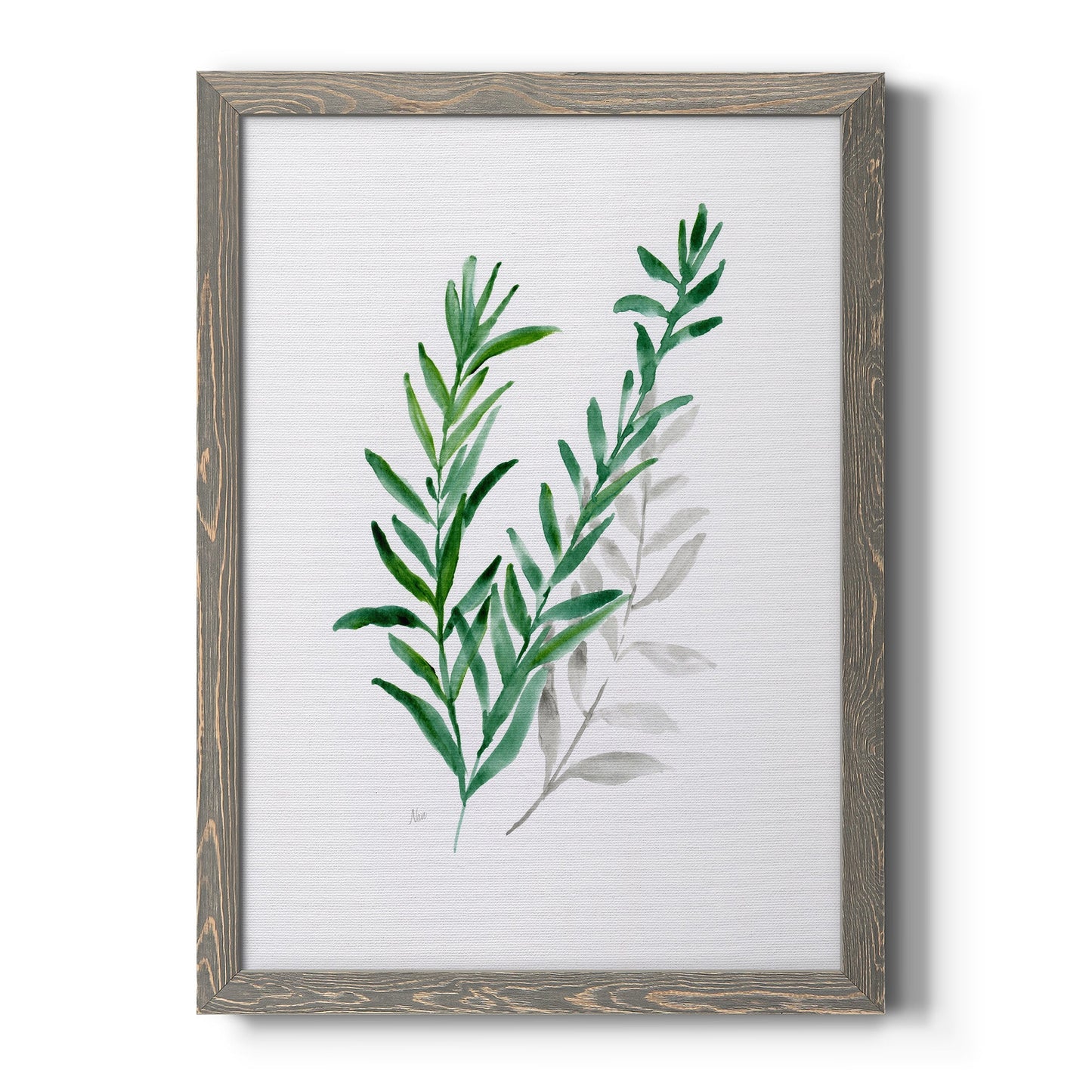 Freshly Picked II - Barnwood Framed Canvas Print