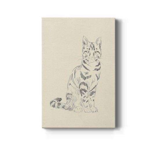 House Cat IV Premium Gallery Wrapped Canvas - Ready to Hang