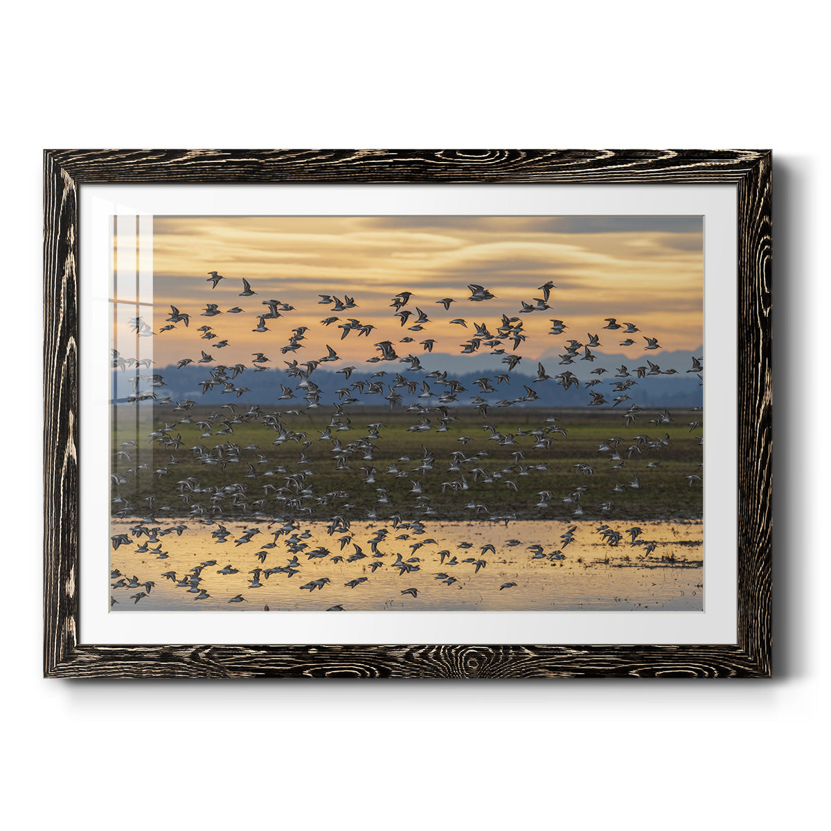 Sunset Flight - Barnwood Framed Art Print