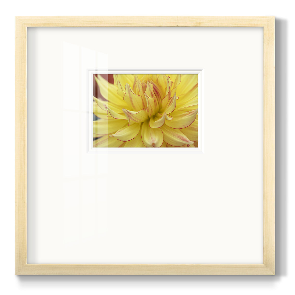 Blooms I Premium Framed Print Double Matboard