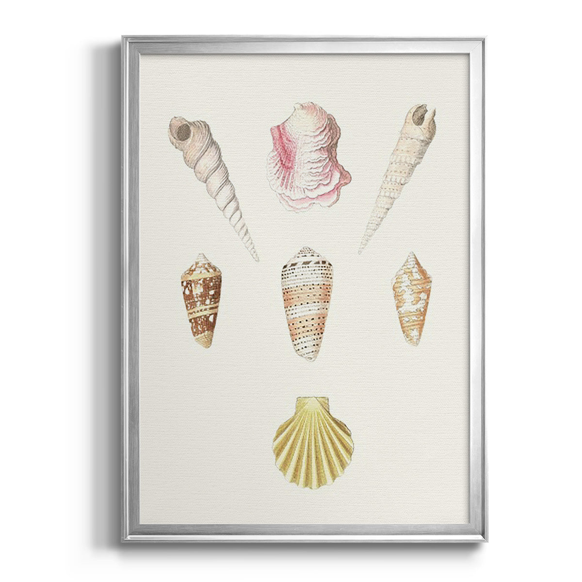 Pastel Knorr Shells I - Modern Framed Canvas Print