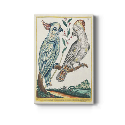 Red-Lipped and Yellow-Crested Cockatoos, 1771-1775 - Canvas Art Print
