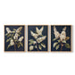 Floral Study Series LII - Restickable Framed Art Set