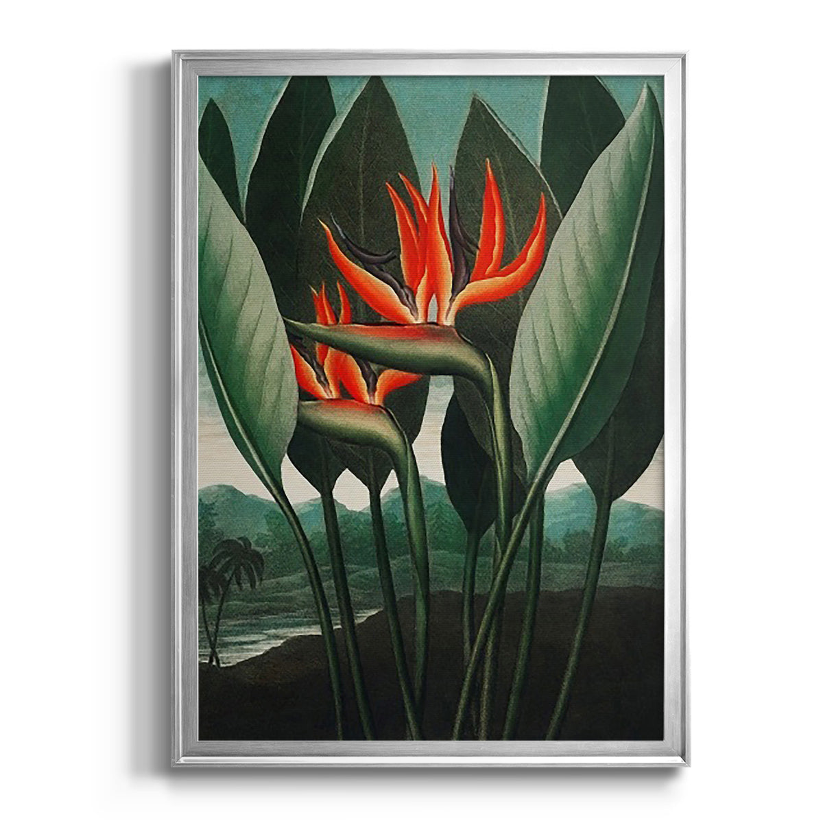 Temple of Flora IV - Modern Framed Canvas Print