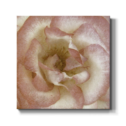 Wall Flower VI-Premium Gallery Wrapped Canvas - Ready to Hang