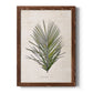 Palm Botanical I - Barnwood Framed Canvas Print