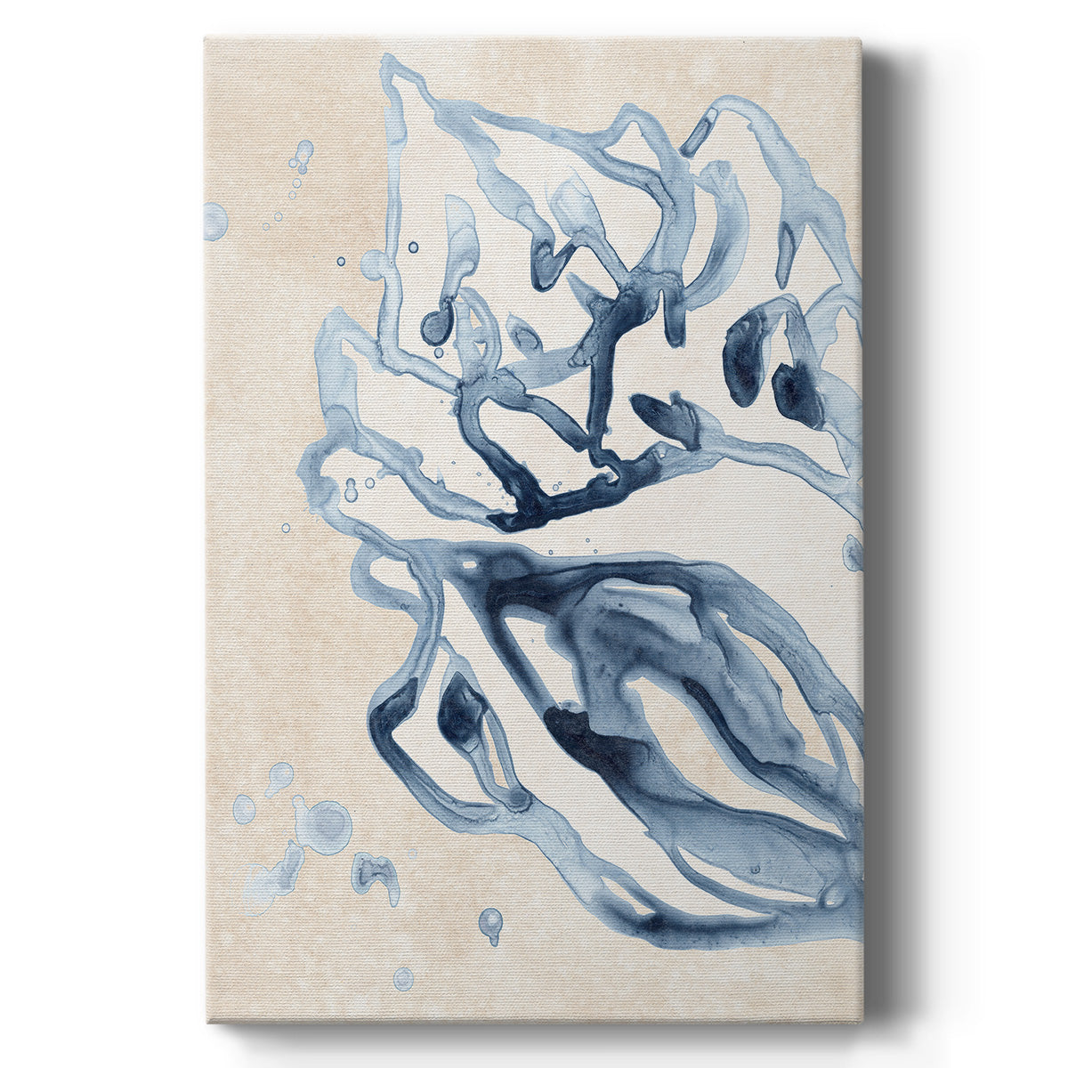 Water Shells II Premium Gallery Wrapped Canvas - Ready to Hang