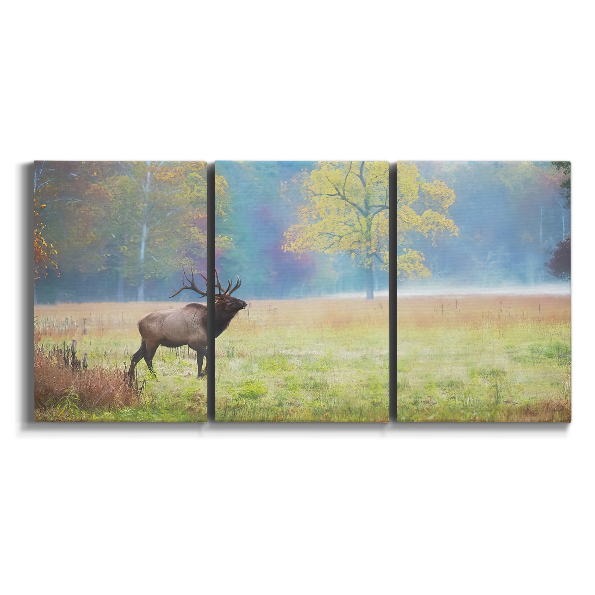 Three-panel canvas wall art featuring resting animals in open field on white background.