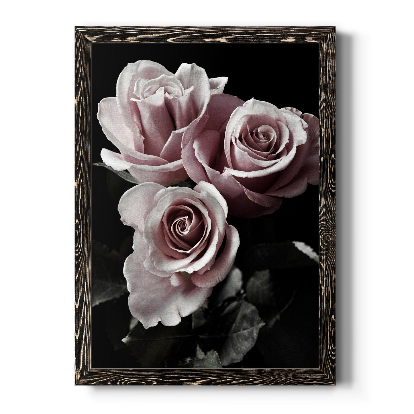 Rose Noir I - Premium Canvas Framed in Barnwood - Ready to Hang