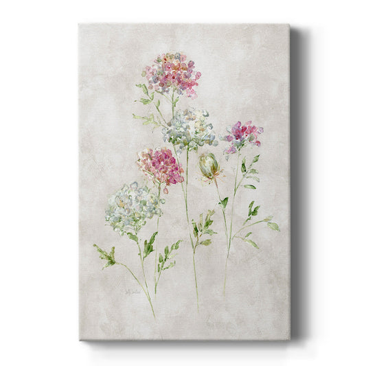 Soft Lace II - Canvas Art Print