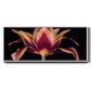 Red Tulip - Floater Framed Canvas Print