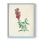 Traditional Botanical I - Restickable Framed Art Print