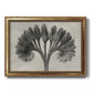 Vintage botanical plant study photograph by Karl Blossfeldt printed on canvas in an ornate vintage gold frame.