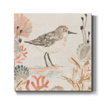 Shell Pipers I - Canvas Art Print