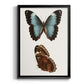 Antique Blue Butterflies IV - Modern Framed Canvas Print